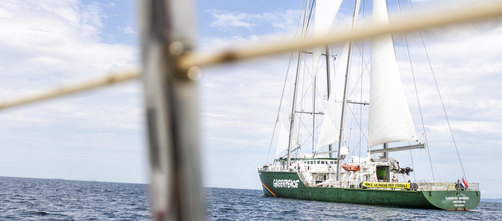 greenpeace warrior (33)