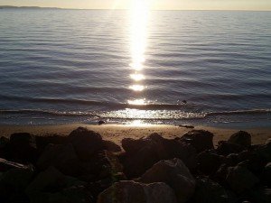 Trieste a Barcola spunta la spiaggia 5.1.2015 Cris Carbi