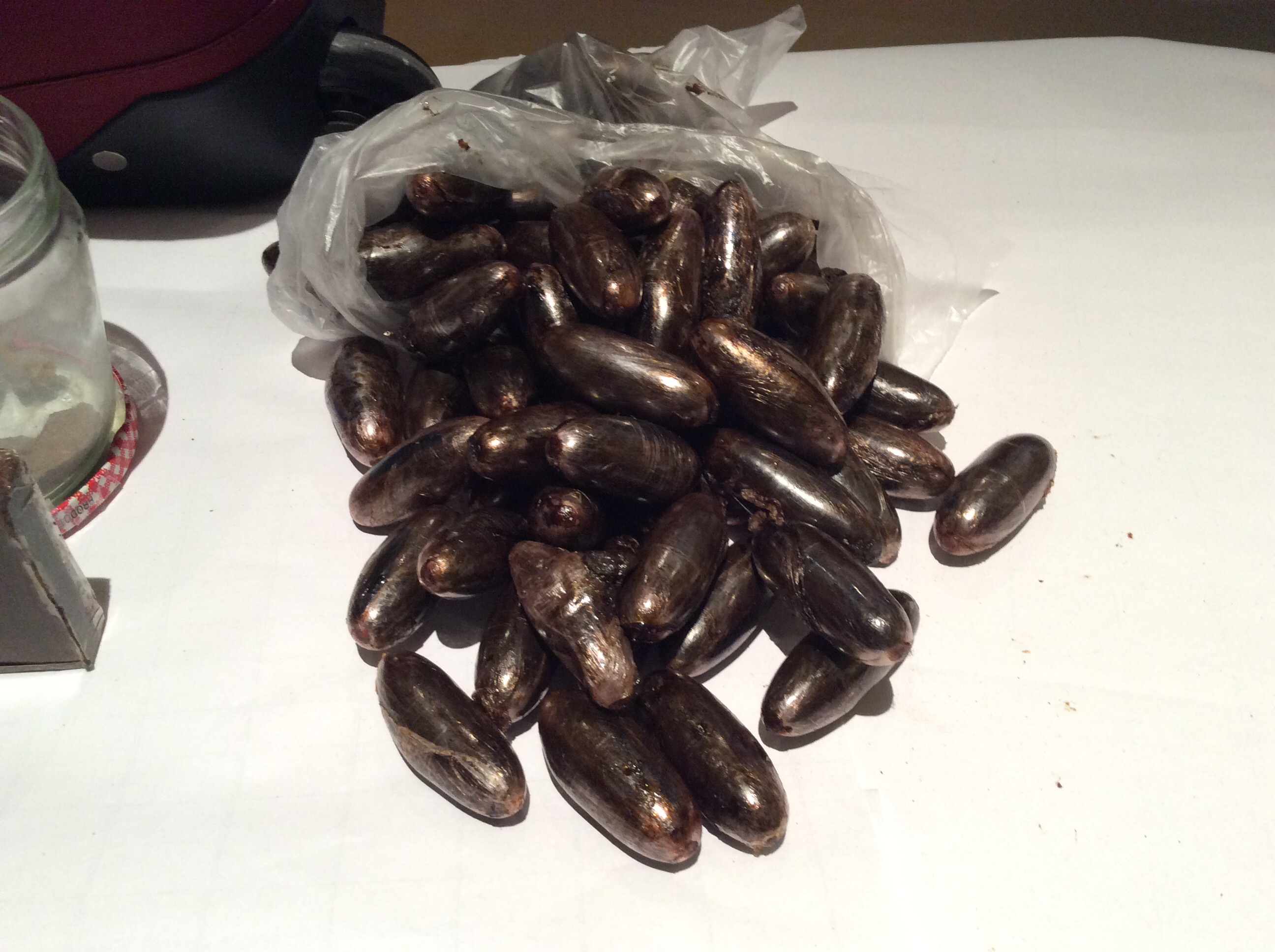 Hashish datteri droga