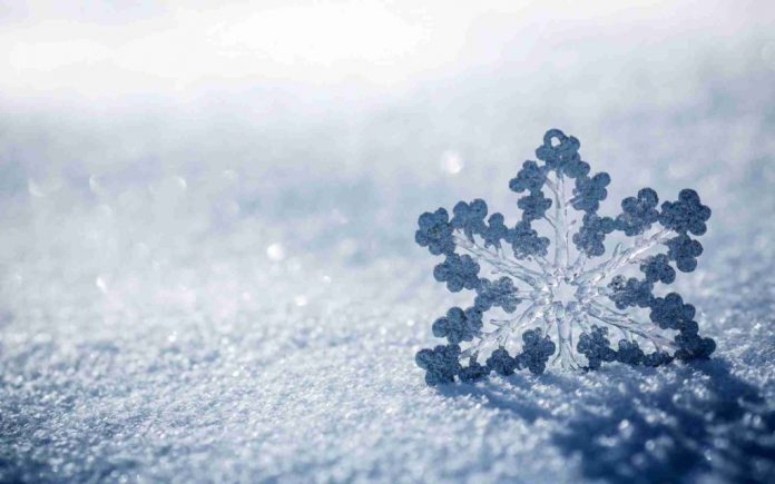 fiocco-di-neve-1024x640
