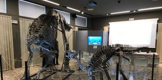 Ultimo weekend per vedere gli scheletri di dinosauri a Sistiana