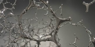 “Emulsione”, il richiamo al mondo vegetale tra immaginario e realtà, nella mostra di Loris Cecchini