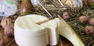 Contro l’ansia, mangia formaggio di Trento. I superbatteri che producono calmanti