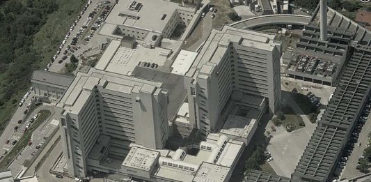 ospedale cattinara rizzani de eccher