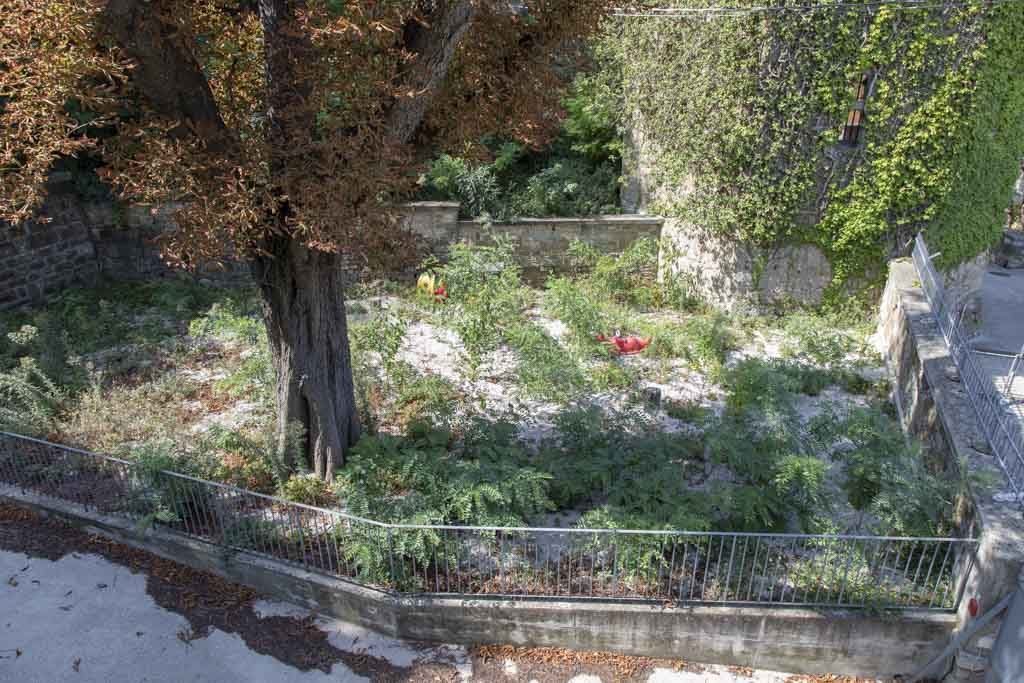 triesteallnews-asilo-comunale-san-giusto-recupero-agosto-2019-2495