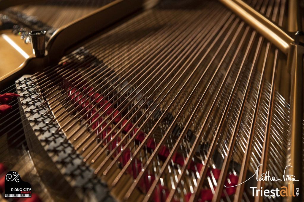 triesteallnews-delledonne-marinaz-robertoSrelz-pianocity-trieste-2019-1475