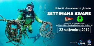 “Puliamo il Mondo”: raccolta dei rifiuti nella spiaggia di Castelreggio
