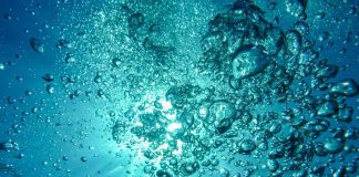 Il viaggio distopico con Leonardo Da Vinci ne ‘Il Sogno dell’Acqua’
