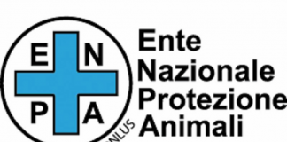 enpa