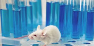 Il Coronavirus e la necessità della sperimentazione animale