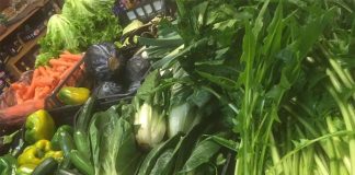 “Oasi della frutta”, 120 chili di generi alimentari raccolti per chi ha più bisogno