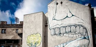 Consumo di suolo, il FVG risulta settimo in Italia. Ma non c’è Trieste