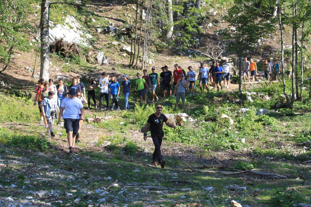 Forest Summer School: Ampezzo 8-14 agosto 2020