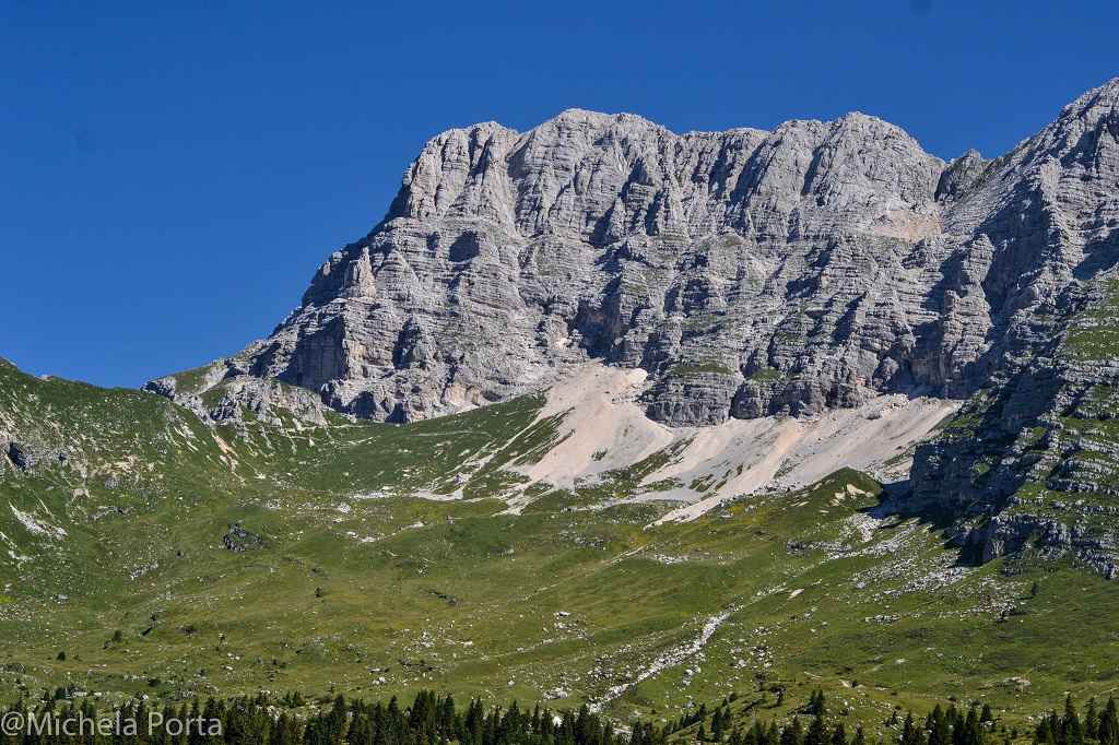 _DSC0239-2-compressed (3)