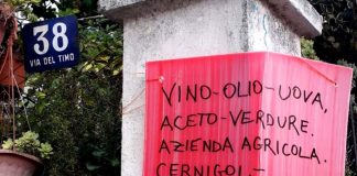 Gabi Wines, a Longera!