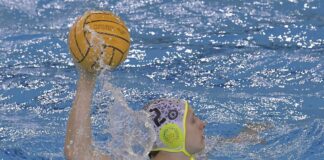 Pallanuoto Trieste Brescia