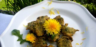 Cucina e ricette: Frittelle di tarassaco senza uova