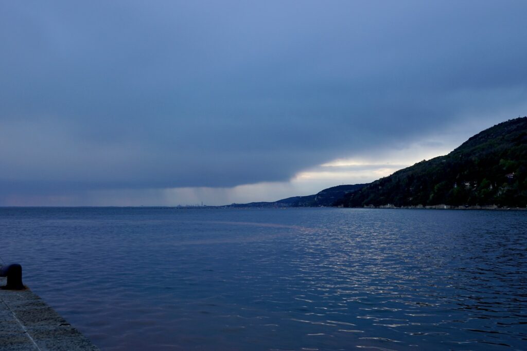 Noctiluca Scintillans-4