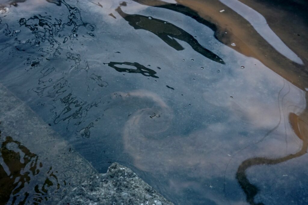 Noctiluca Scintillans-6
