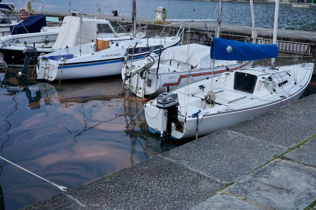 Noctiluca Scintillans-7