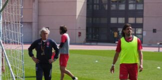 Triestina Virtus Verona