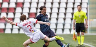 Triestina Virtus Verona