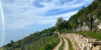 Parco97, ripartono le passeggiate sui sentieri del Carso Triestino