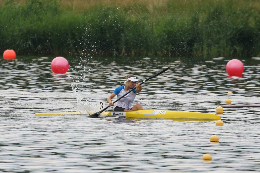 bronzo bellan poznan