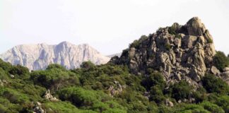 Roghi in Sardegna, il sostegno di Tiaiutiamonoi Trieste Onlus