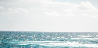 Maree Trieste, le previsioni del 24 agosto