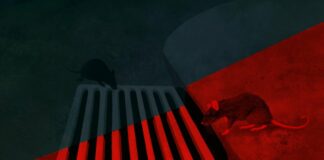 SISSA, nuova scoperta sui topi: vedono anche sotto la luce rossa