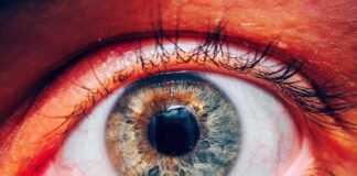Dalla forma all’interpretazione: petali di matematica sul corpo umano