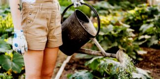 Bilancio, ulteriori 16 milioni per il Fondo di rotazione in agricoltura