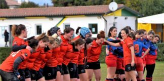 venjulia rugby