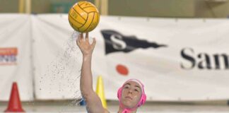 trieste@news-pallanuoto-trieste-ancona