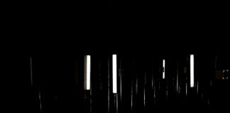 a Trieste l’installazione PTSD