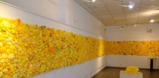 Un “muro” di rose gialle a Trieste per far conoscere l’endometriosi
