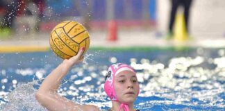 Pallanuoto, a Trieste vince il Verona per 8-13 trieste@news-pallanuoto-trieste-verona-8-13