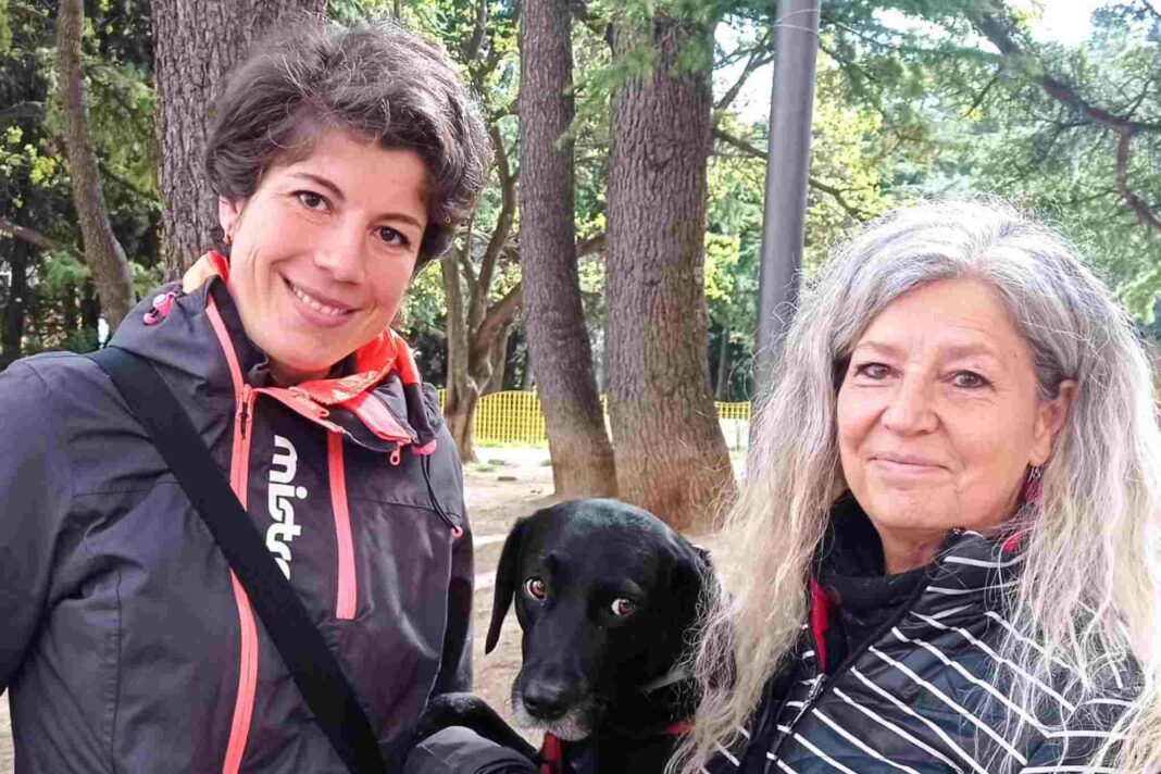 trieste@news-at-area-sgambamento-rione