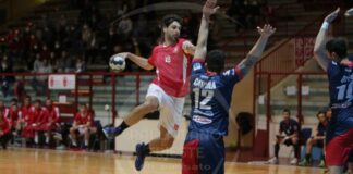 trieste@news-pallamano-carpi-trieste