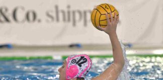 trieste@news-pallanuoto-orizzonte-trieste