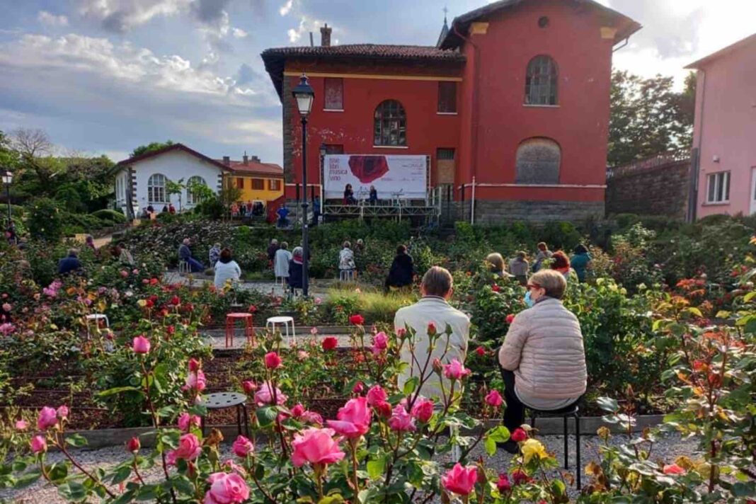 Rose Libri Musica Vino