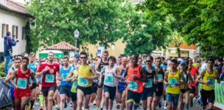 trieste@news-spring-run-2022