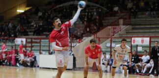 trieste@news-pallamano-separazione-bratkovic-trieste
