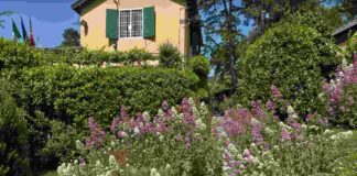 Orto Botanico di Trieste, al via il 29 Agosto le “Passeggiate Shakespeariane”