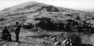 pineta Cattinara