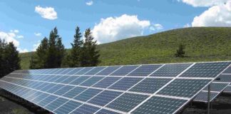 trieste@news-energia-rinnovabile-fotovoltaico.jpeg