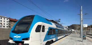 trieste fiume treno
