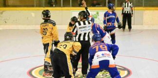 trieste@news-hockey-inline