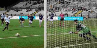 trieste@news-triestina-pro-vercelli.jpeg